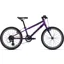 2022 Giant ARX 20 Kid's Bike in Purple