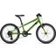 2022 Giant ARX 20 Kid's Bike in Green