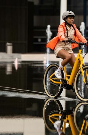Momentum Bikes