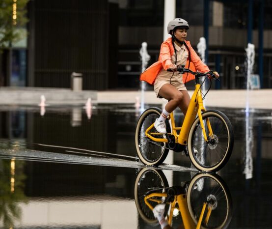 Momentum Bikes