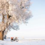 Christmas 2025 Opening Hours