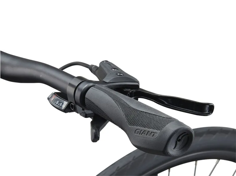 2021 Giant Escape 2 Disc Hybrid Bike in Red-2