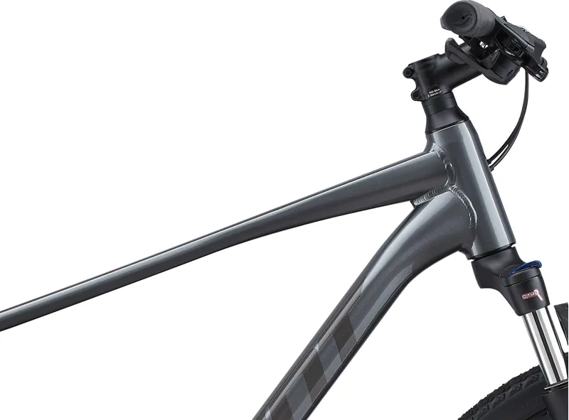 2021 Giant Roam 2 Disc Hybrid Bike in Grey-6