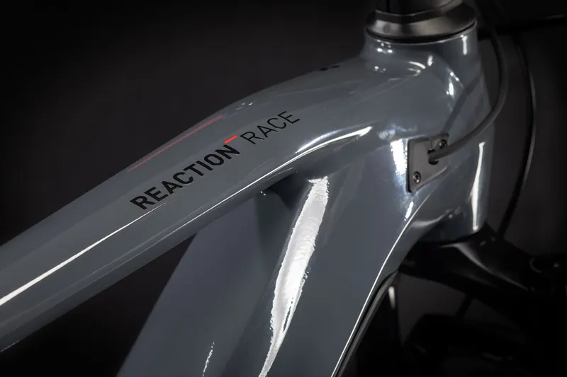 2021 Cube Reaction Hybrid Race 625 Electric Mountain Bike in Grey-4