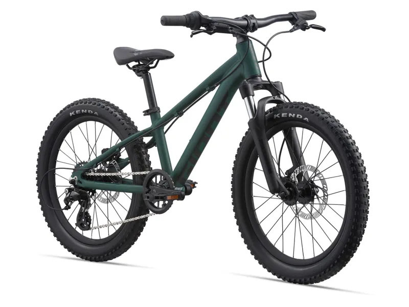 Giant STP 20 Kid's Mountain Bike in Trekking Green-1