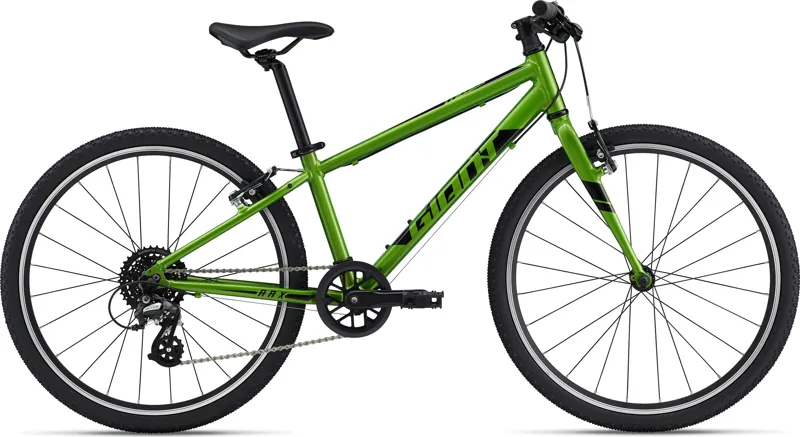 2022 Giant ARX 24 - Childrens Bike - Green