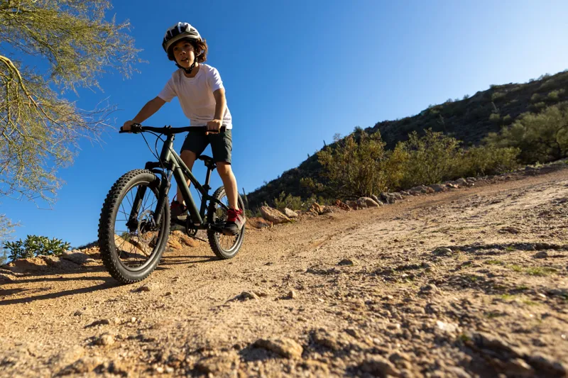 Giant STP 20 Kid's Mountain Bike in Trekking Green-4