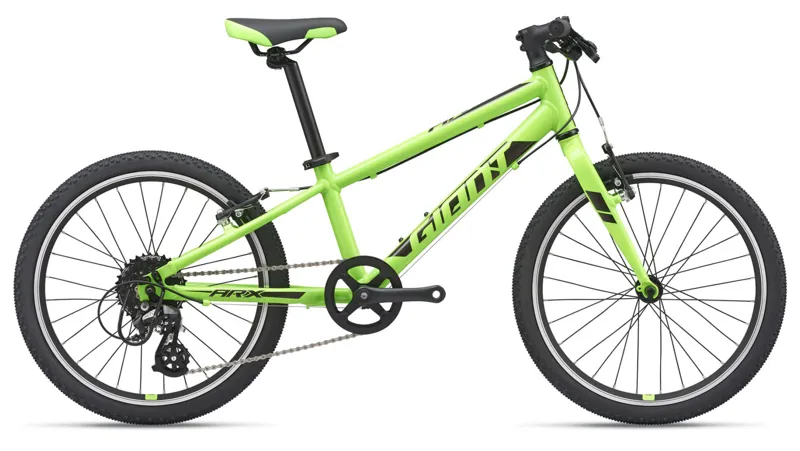 2020 Giant ARX 20 Childs Bike in Green