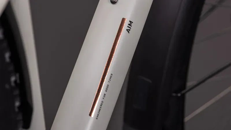 2026 Cube Aim Pro Fe Mountain Bike in Greige/Titan-3