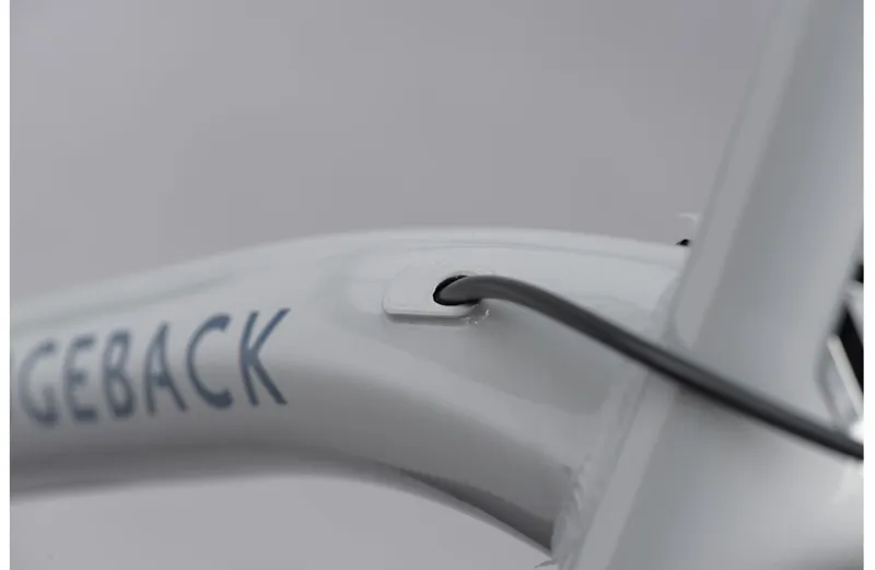 Ridgeback Element EQ - Hybrid Bike - Silver-2