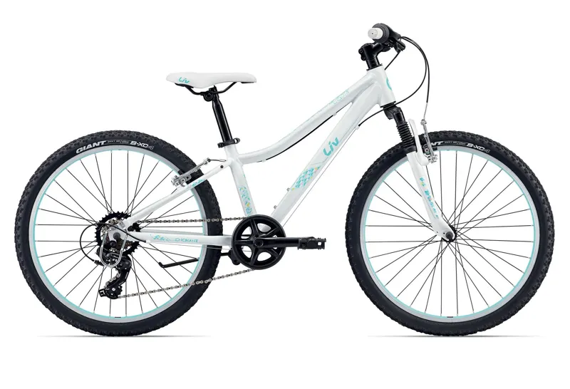 focus 24 inch mountain bike