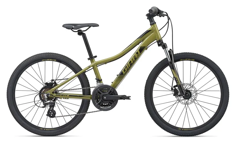 giant mountain bike green