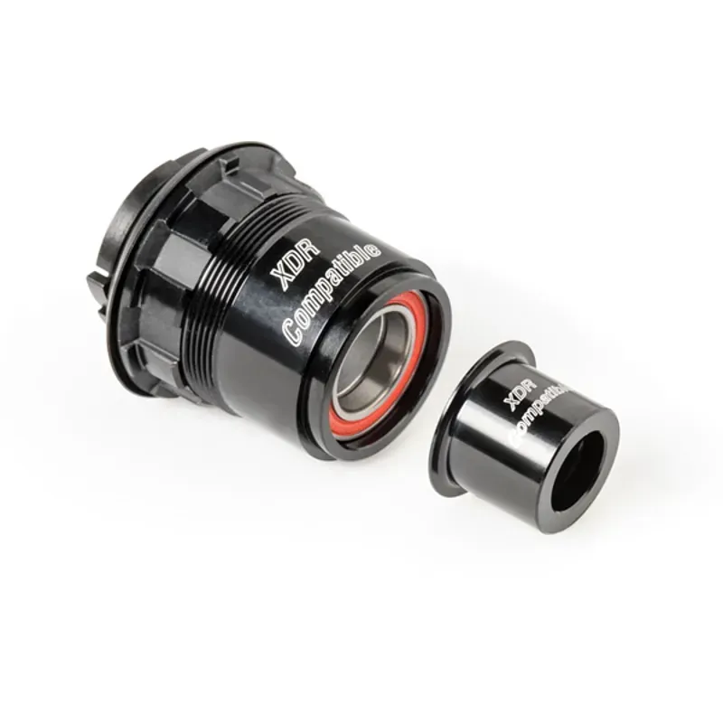 DT SWISS Pawl freehub conversion kit for Shimano 11-speed Road 142 / 12 mm
