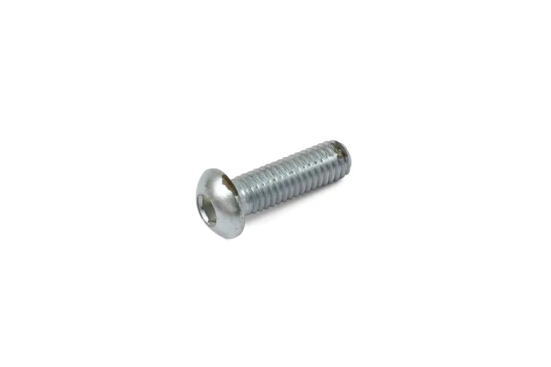 Hope M6x20mm Dome Head Screw Stainless Steel in Silver