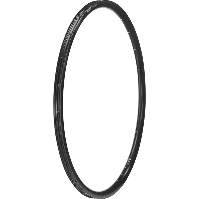 Mavic P1-21 Disc 29in Rim in Black