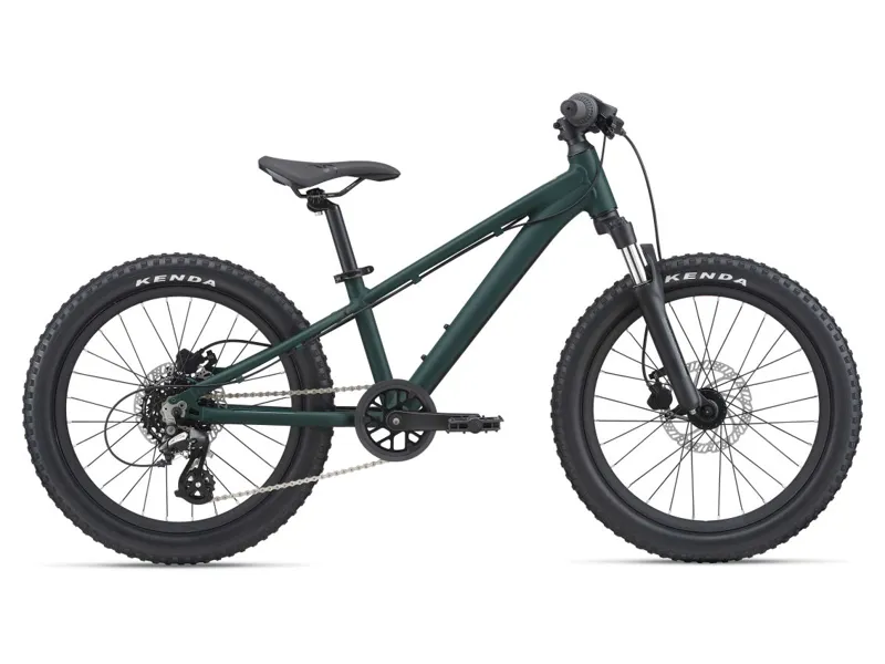 Giant STP 20 Kid's Mountain Bike in Trekking Green