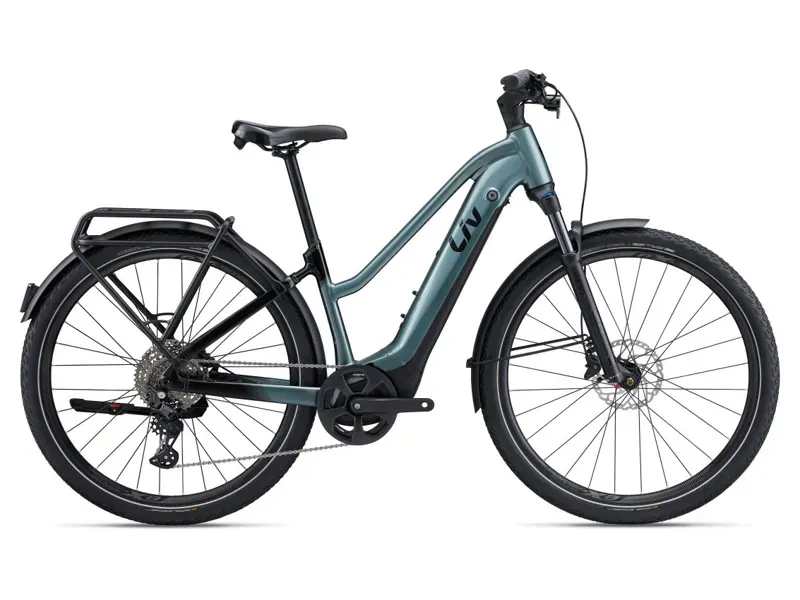 2024 Liv Amiti E+ Pro 625Wh Electric Bike In Gloss Silver Pine