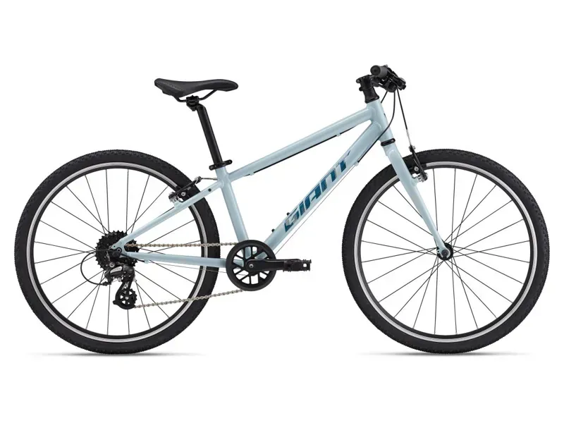 Giant ARX 24 - 7-12yr Kids Bike - Soap Suds