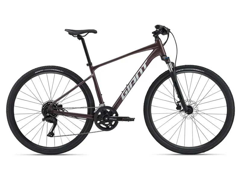 2024 Giant Roam 2 Disc Hybrid Bike - Charcoal Plum