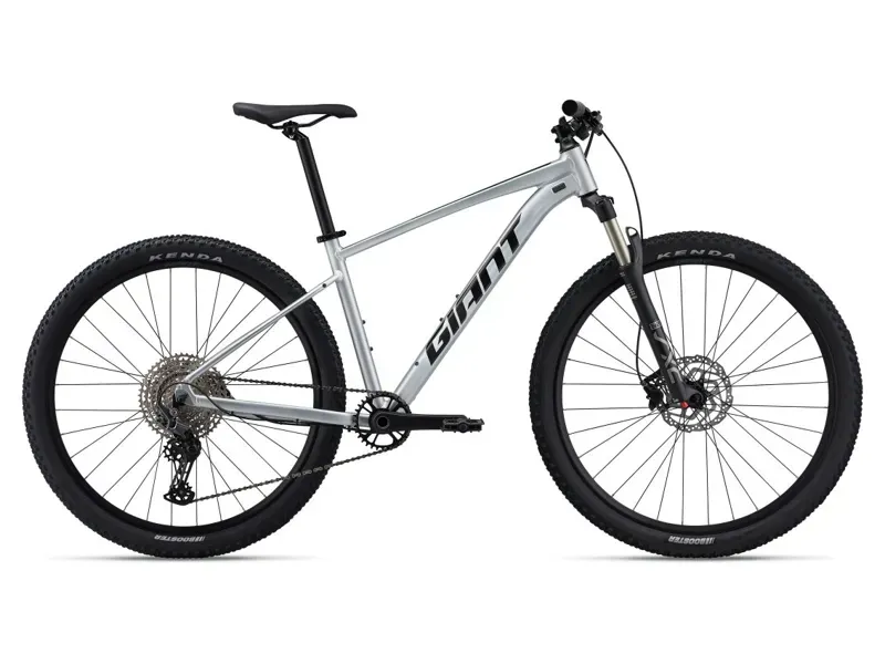 2024 Giant Talon 0 Mountain Bike In Gloss Quicksillver/Panther
