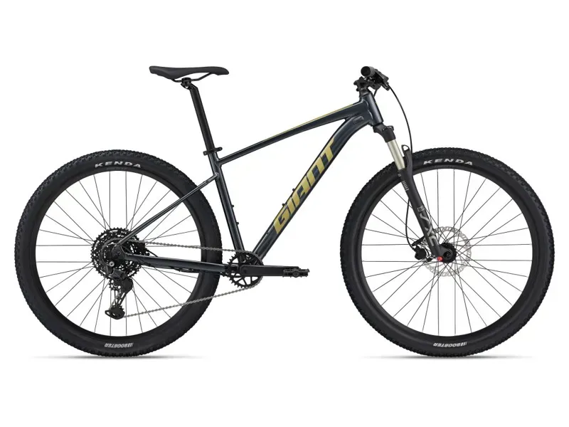 2024 Giant Talon 1 29 Mountain Bike In Gloss Cold Iron/Bay Leaf