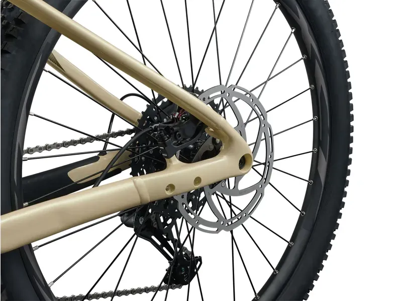 Liv Lurra E+ 1 25KM/H eMountain Bike in Desert Pearl-3