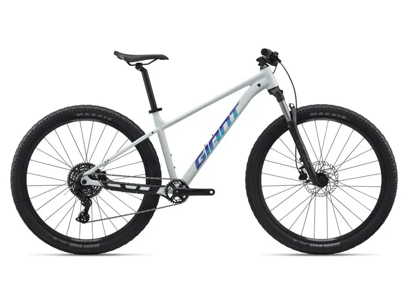 2027 Giant Talon 29 2 MTB in Icicle White