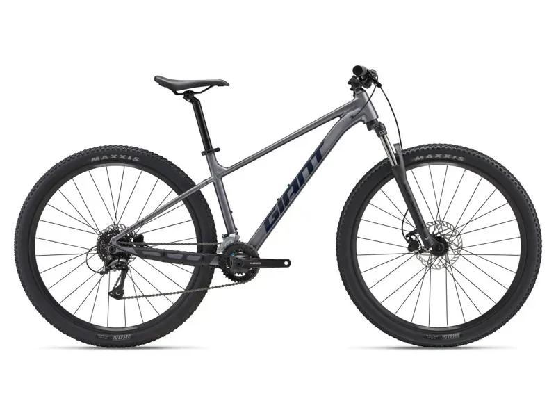 Giant Talon 29 3 Mountain Bike in Liquid Metal