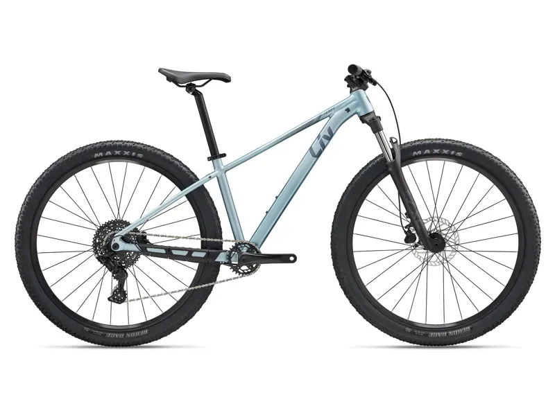 2027 Liv Tempt 29 2 Mountain Bike in Cryo Silver