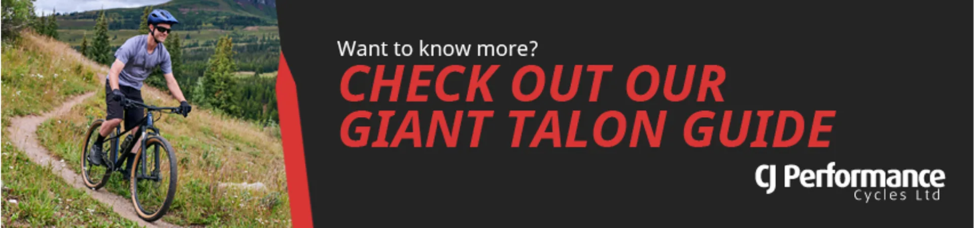 2025 Giant Talon Guide