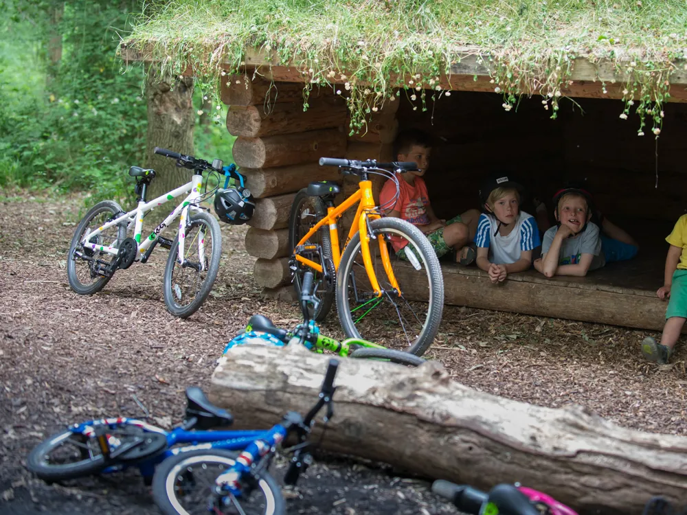 Frog Accessories: the finishing touch for any Frog bike. Perfect for young cycling enthusiasts.