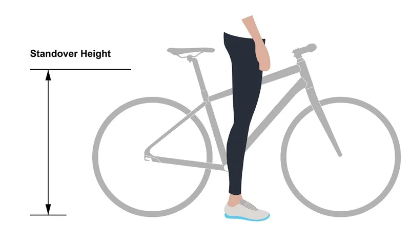 Momentum Size Guide