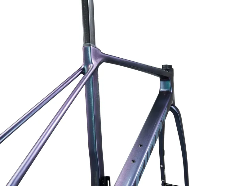 2025 Giant TCR Advanced Pro Frameset - Road Race Frameset - Gloss Blue Dragonfly / Brushed Foil-5