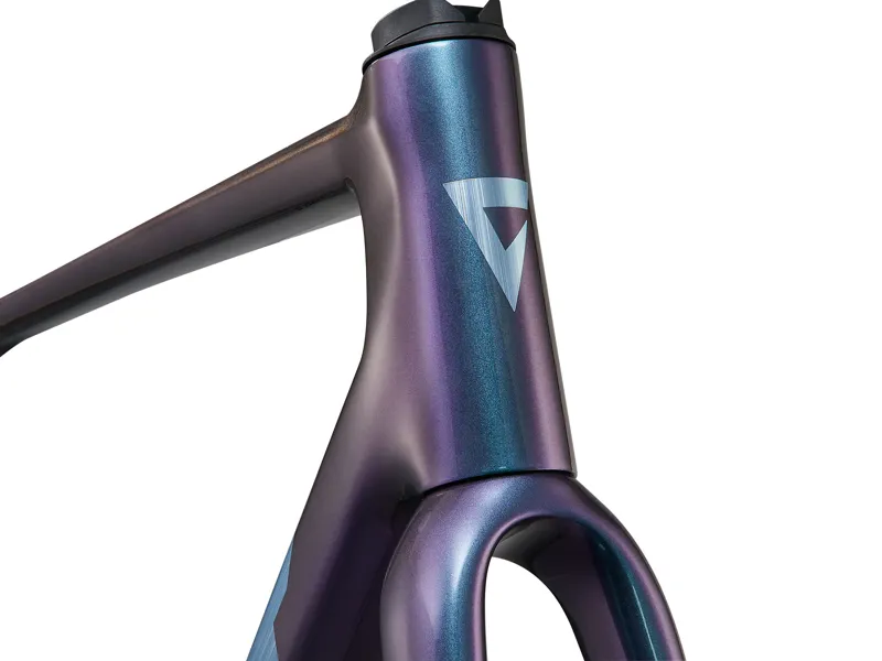 2025 Giant TCR Advanced Pro Frameset - Road Race Frameset - Gloss Blue Dragonfly / Brushed Foil-3