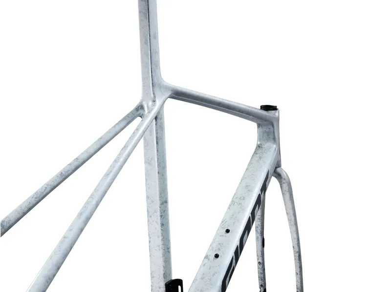 2025 Giant TCR Advanced SL Frameset - Road Race Frameset - Opal Brushed Chrome-1