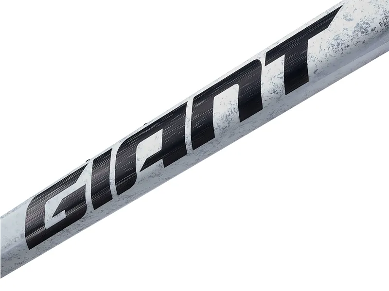 2025 Giant TCR Advanced SL Frameset - Road Race Frameset - Opal Brushed Chrome-5