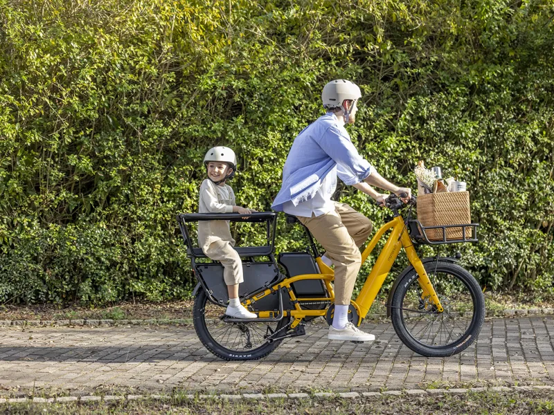 Momentum PakYak E+ - Passenger Bar-3