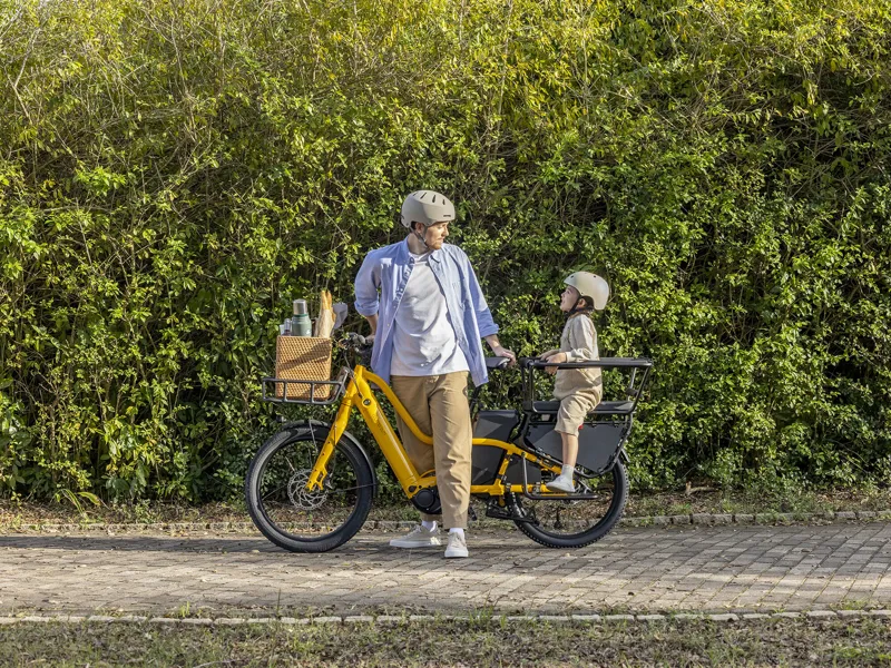 Momentum PakYak E+ - Passenger Bar-4