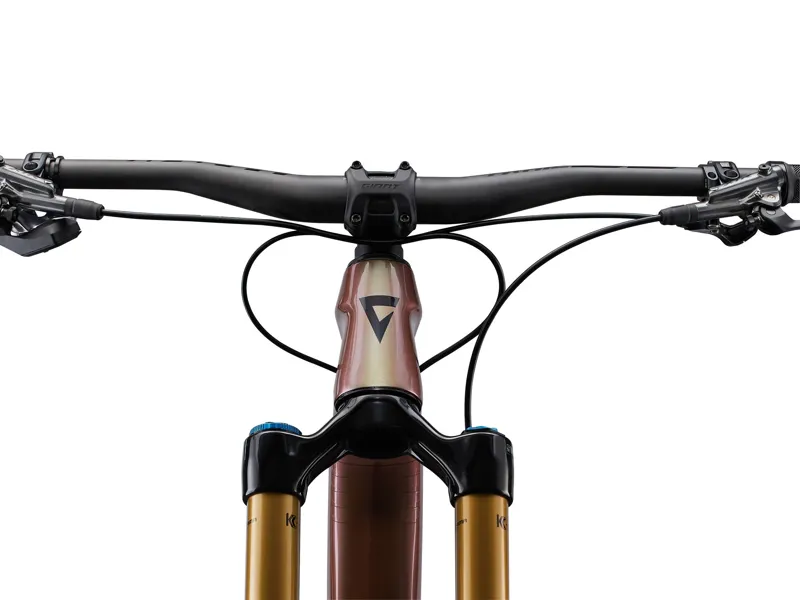 2023 Giant Reign Advanced Pro 0 Enduro MTB - Messier/Carbon-5