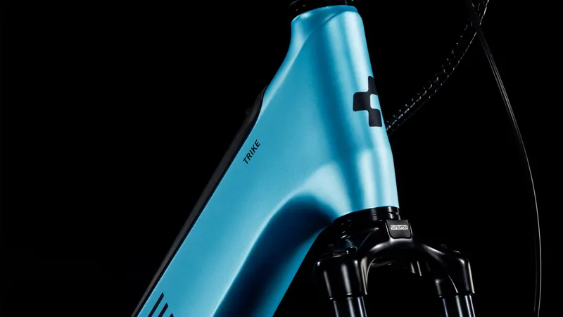 2025 Cube Trike Family Hybrid 750 - Electric Cargo Trike - Blue / Reflex-2