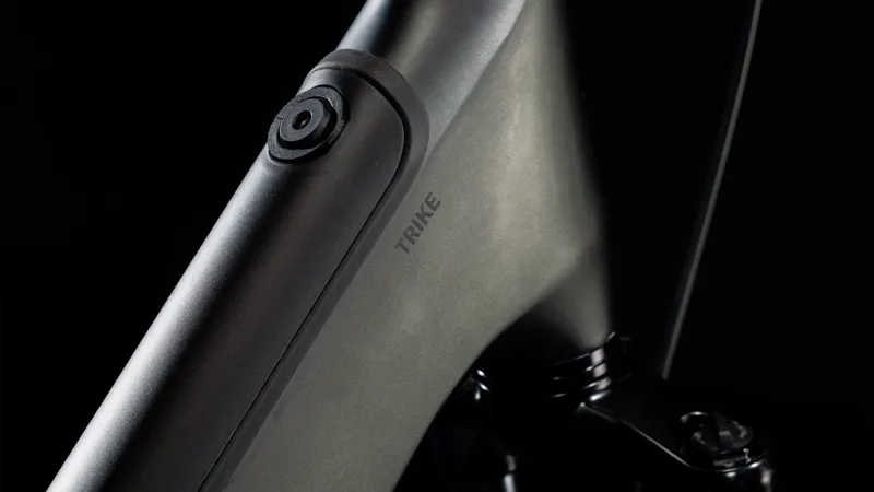 2025 Cube Trike Cargo Hybrid 1500 - Electric Cargo Trike - Grey / Reflex-2