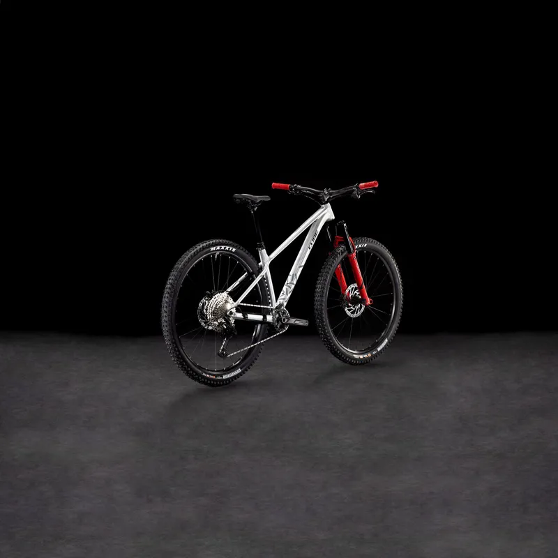 2025 Cube Reaction TM Pro Trail Bike in Rawmetal/Reflect-1
