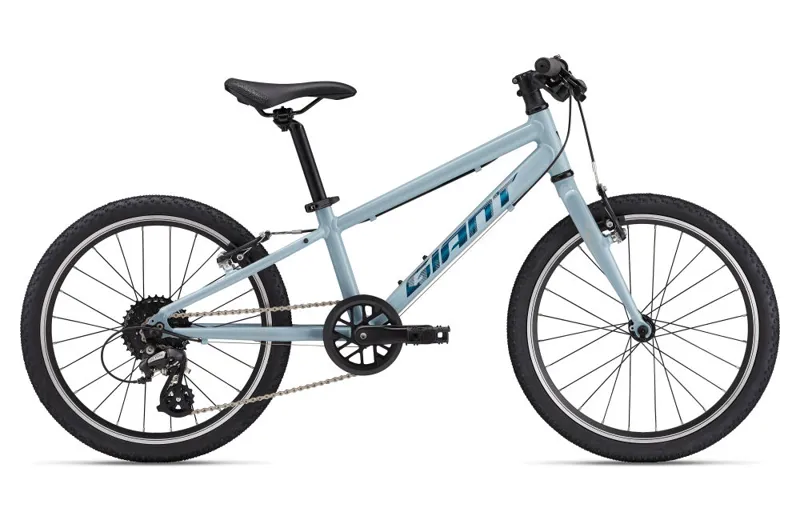 2026 Giant ARX 20 - 5-9yr Kids Bike - Soap Suds