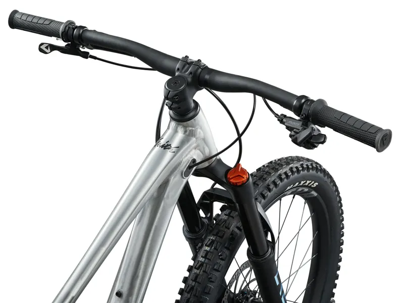 2026 Giant Faith 24 - Full Suspension Kids Mountain Bike - Raw Aluminium-4