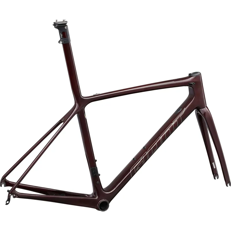 2022 Giant TCR Advanced SL Frameset in Sincity