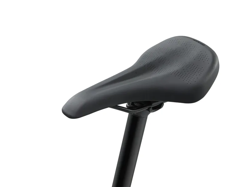 2024 Giant Fathom E+3 25Km/H 29er Sangria-1