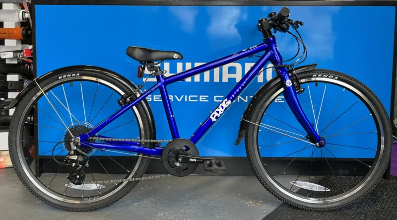 Childrens Bicycle Frog Bike Electric Blue Frog 61 24 Inch - Main Image