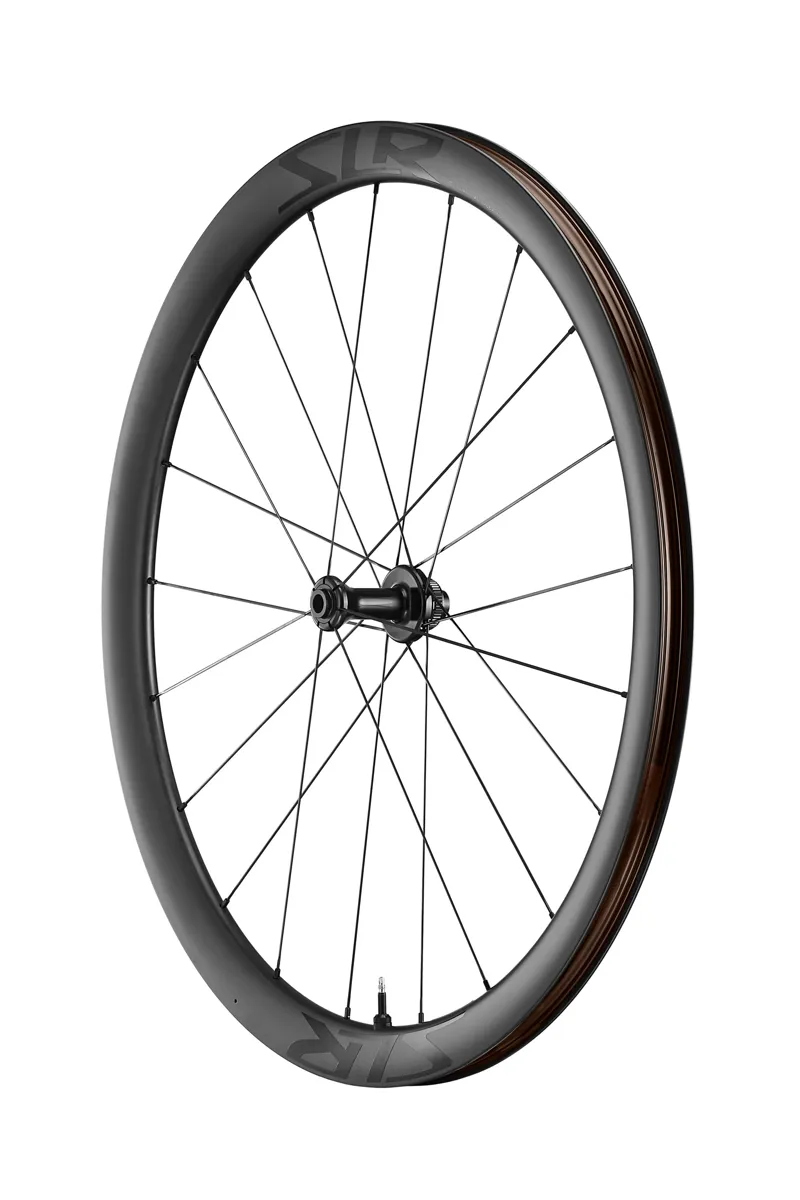 Giant SLR 1 40 Disc Brake Front Wheel-1