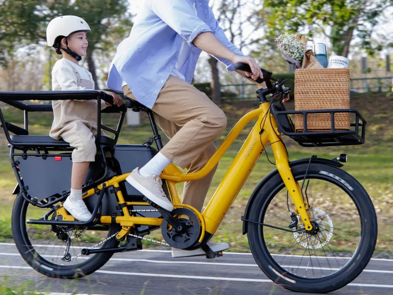 Momentum PakYak E+ - Passenger Bar-5