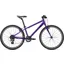 2022 Giant ARX 24 Kid's Bike in Purple